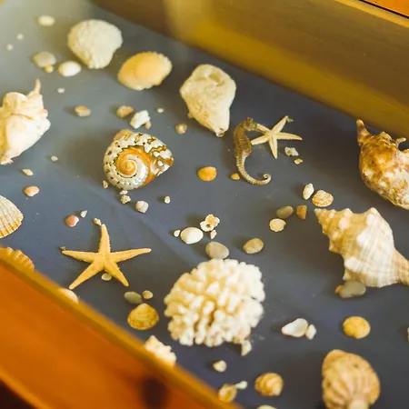 18 - Typical Portuguese Appartamento *