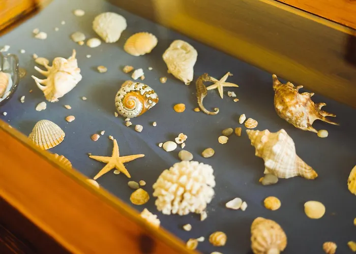 18 - Typical Portuguese Appartement *